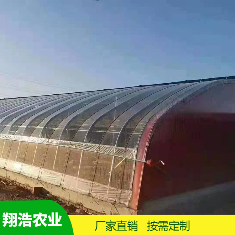 山西育苗單體拱棚 熱鍍鋅橢圓管拱棚 簡易單體拱棚溫室大棚定制