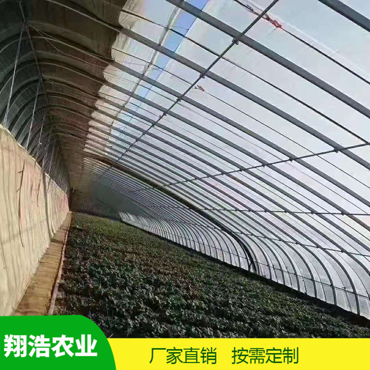 河北育苗單體拱棚 熱鍍鋅橢圓管拱棚 簡易單體拱棚溫室大棚定制