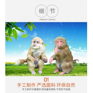 動物仿真模型 創新動物 回歸自然動物